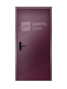 Противопожарная дверь EIW-15 однопольная со скрытыми петлями ДП-105
